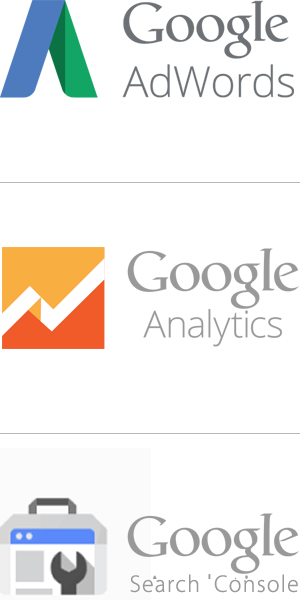 Web Marketing Expertise